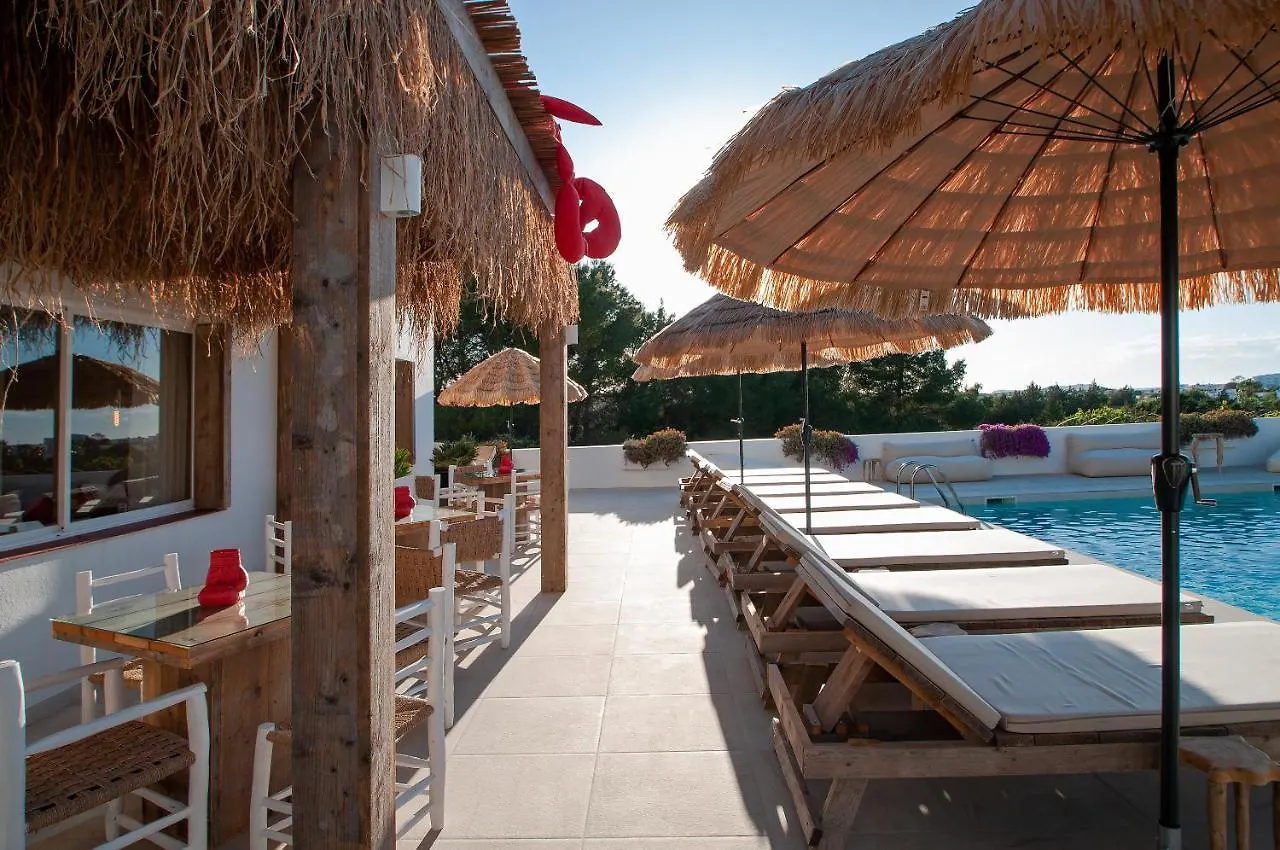 Sunset Oasis Ibiza Adults Only - New Rooms 2025 San Antonio  Aparthotel San Antonio (Ibiza)