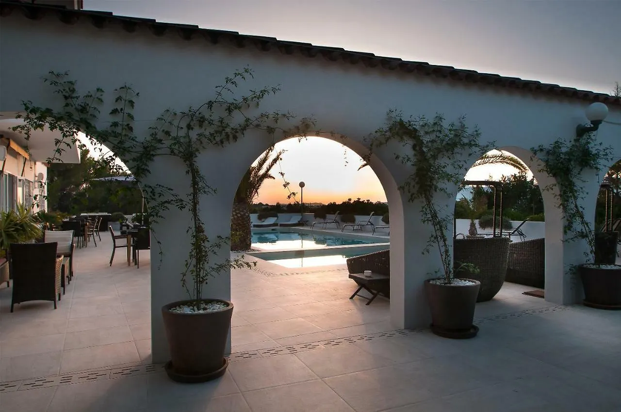 Sunset Oasis Ibiza Adults Only - New Rooms 2025 San Antonio  Spain